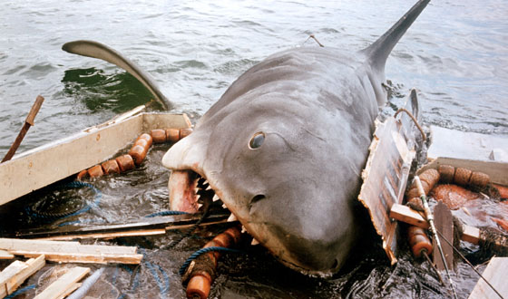 steven spielberg jaws.  Steven Spielberg had to say about the transfer was even better. As Jaws 